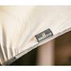 ogawa Tarp Pentagonal Type System Tarp Penta 3 x 3 [3m x 3m] 3337 Brown