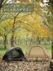 VIDALIDO Solo Person Camping Freestanding Cot Set and Black Tent, 1-2 Tent, Tent, Breathable, Windproof, Lightweight, Easy-to-Use, 2-Piece (Inner