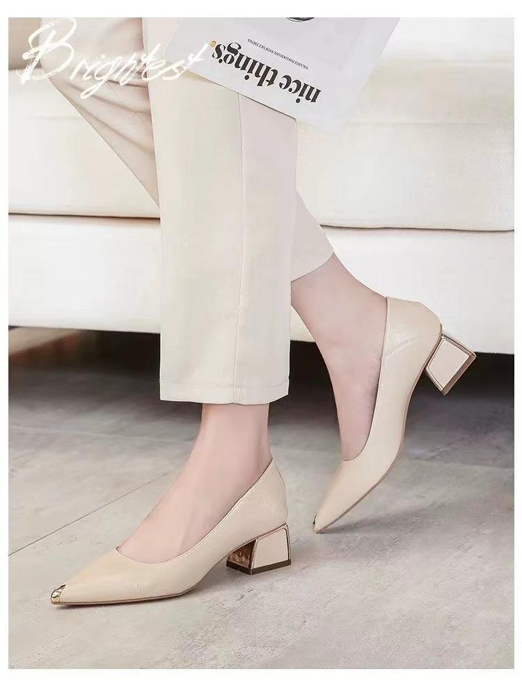 Pointed High Heels Femininity Thick Heel 2024 New Middle Heel Spring and Autumn Black Professional Versatile Comfortable Soft Sole Single Shoes