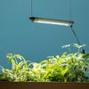 Takasho Plant Grow Light, 27cm, LSB-27K, 5.4cm Deep X 2.6cm High X 27cm Wide