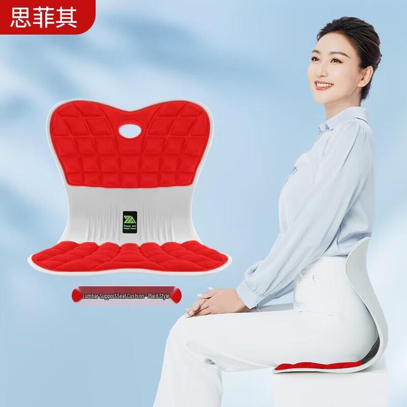 Ergonomic Lumbar Support Seat Cushion