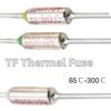 RY TF Thermal Fuse 10A 250V Temperature 65C—300C