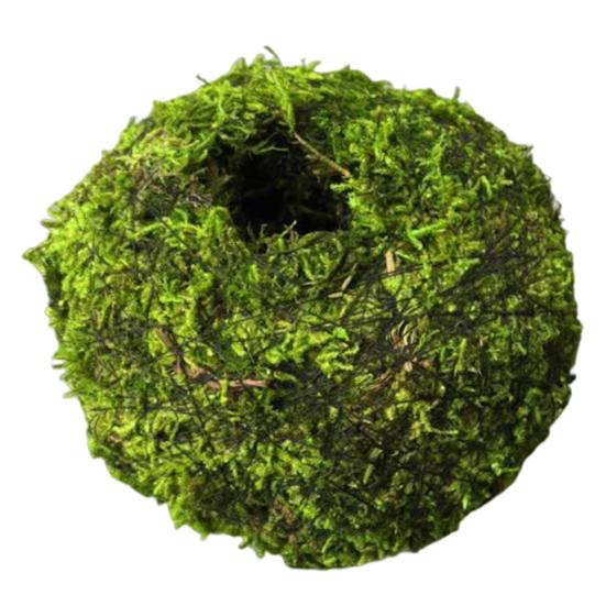 

Moss Ball Flower Pot, Natural Green Bonsai Plant Holder, Decorative Moss Ball Planter Pot for Home, Garden, Wedding Party Decor 7cm