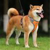 Pet Accessoires Reflective Dog Harness Oxford Cloth Walk Dog Pet Harness Waterproof Dog Vest Dogs