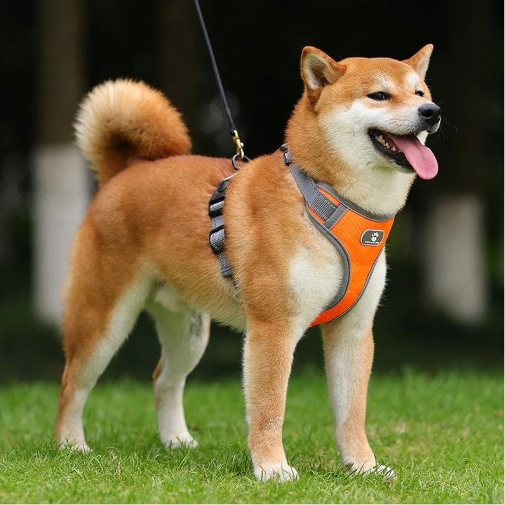 Pet Accessoires Reflective Dog Harness Oxford Cloth Walk Dog Pet Harness Waterproof Dog Vest Dogs