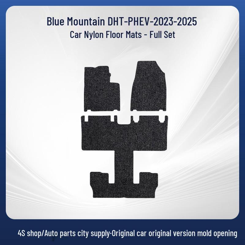 Removable Nylon Floor Mats for Blue Mountain DHT-PHEV-23-25 Cars