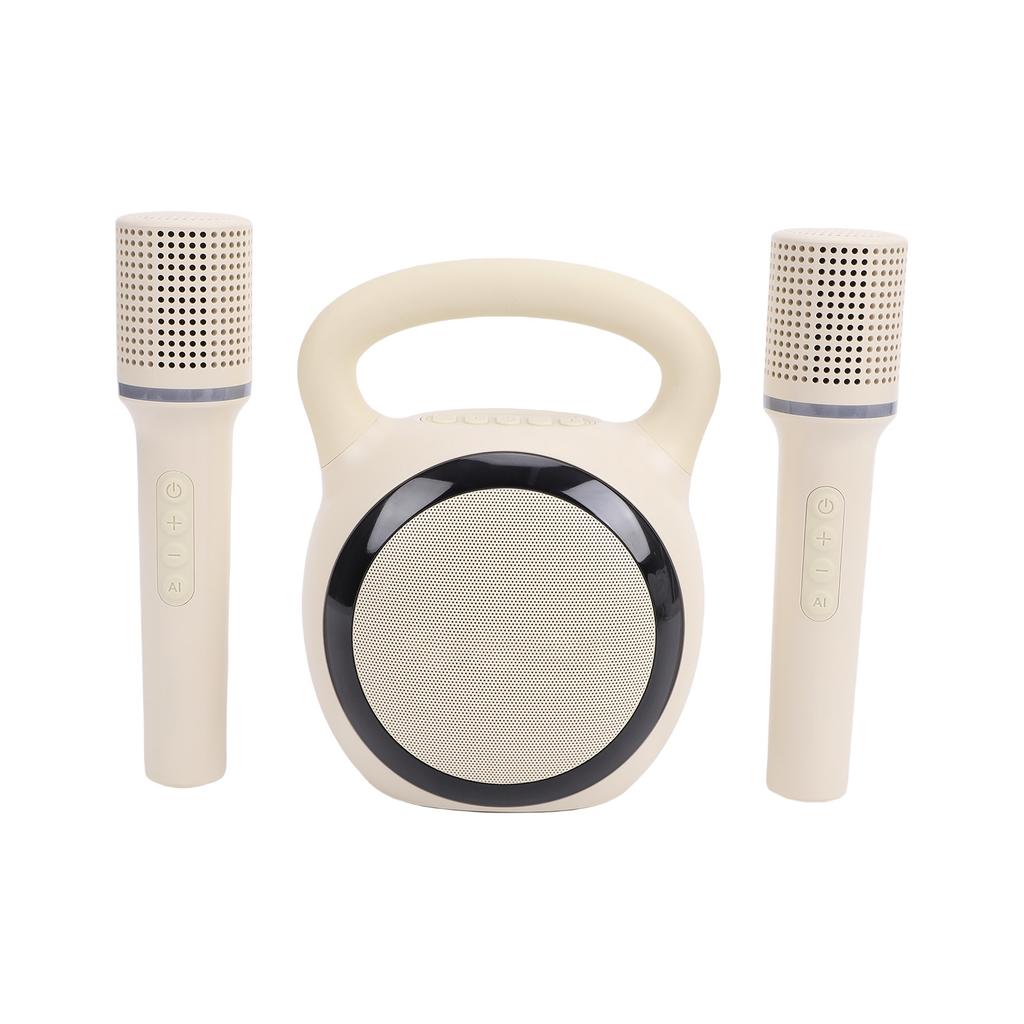 15W Karaoke Machine with 2 Wireless Microphones Microphone and Speaker KTV Set RGB Light Effects Handheld Mic Portable