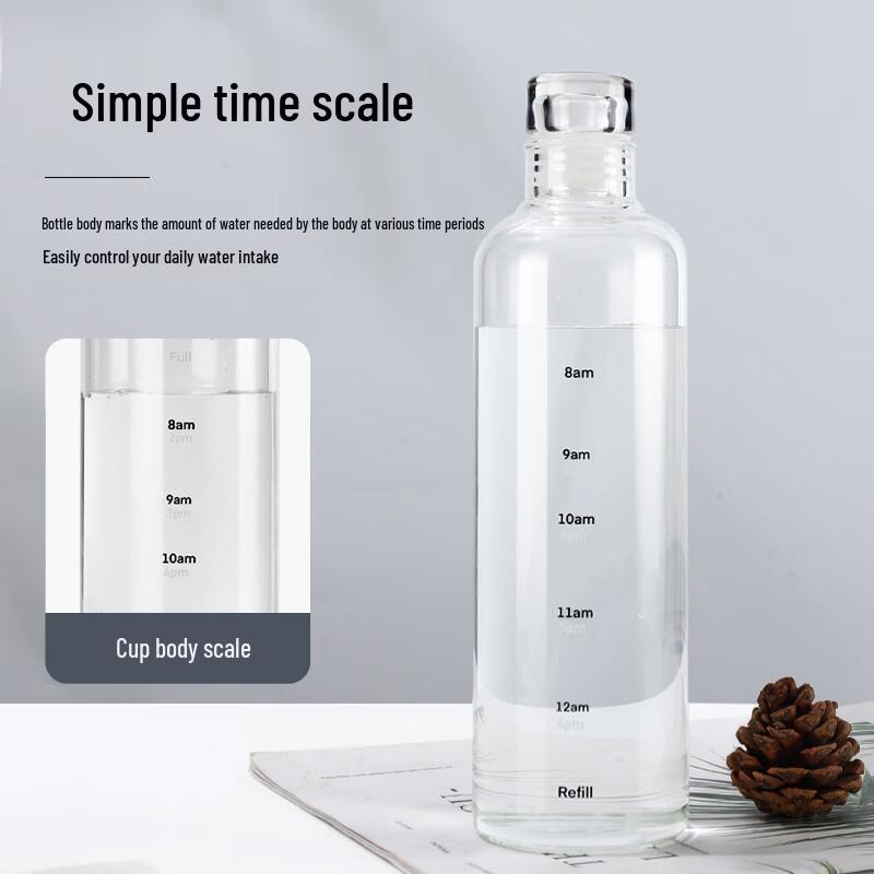 Portable High Borosilicate Glass Water Bottle