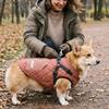 Adjustable Back Dog Cotton Jacket Thickened Pet Down Coat Puppy Clothes  Snow Activities