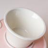 Raised Pet Slow Feeder Bowl, Ceramic Slow Down Eating Food Bowl, Anti Vomiting Food Dish for Small Medium Dogs & Cats