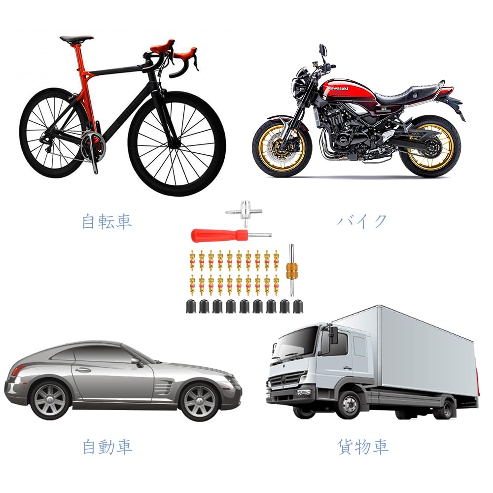 LOYELEY Tire Valve Core 33 Piece Set Bug Wheel Screwdriver Durable Conversion Adapter Removal Air Valve Wrench Car Bicycle Tire Repair Tool Tire
