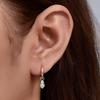 S925 Sterling Silver Zircon Hoop Earrings: European & American INS Style Women's Jewelry.