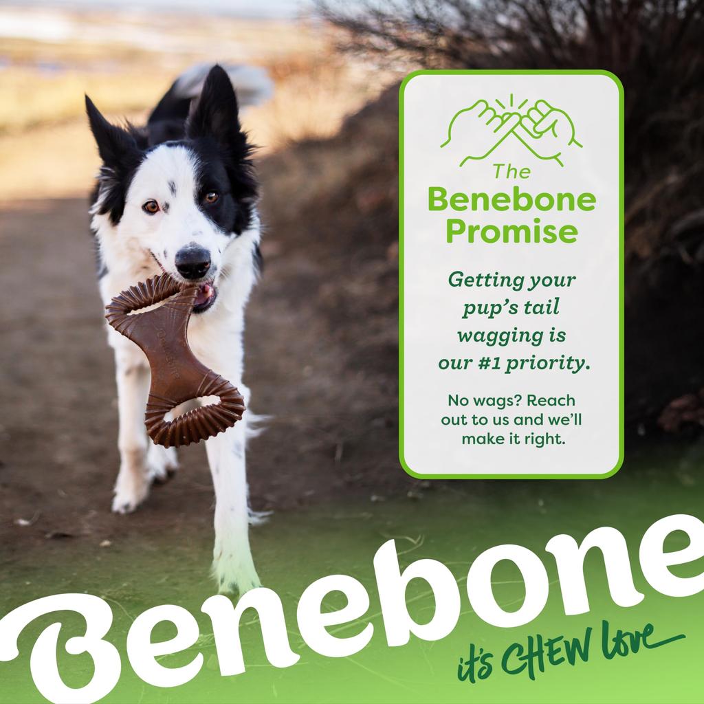Benebone Dental Chew Mini Chew Bacon Flavor Toy,