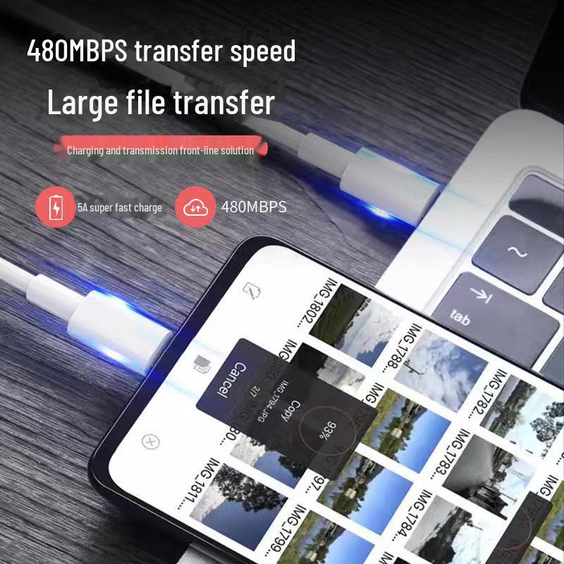 100W Fast Charging Male-to-Male Type-C Cable for iPad Pro & Huawei Notebook