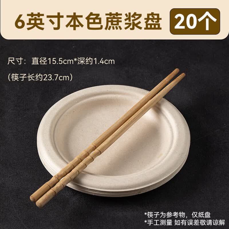 Disposable Sugarcane Pulp Plates