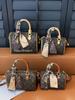 Borsa a Mano/Tracolla Versatile a Cuscino da Donna 2026 con Occhiali da Lettura e Foulard di Seta
