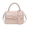 Korean niche handbag women's 2025 new trendy shoulder messenger bag versatile ins fashion popular small square bag