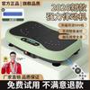 Brangdy Whole Body Vibration Fitness Platform CN Plug (adapter Included)