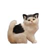 Animal Realistic Cat Stuffed Doll Sitting Posture Lifelike Cat Plush Toy  Photo Props