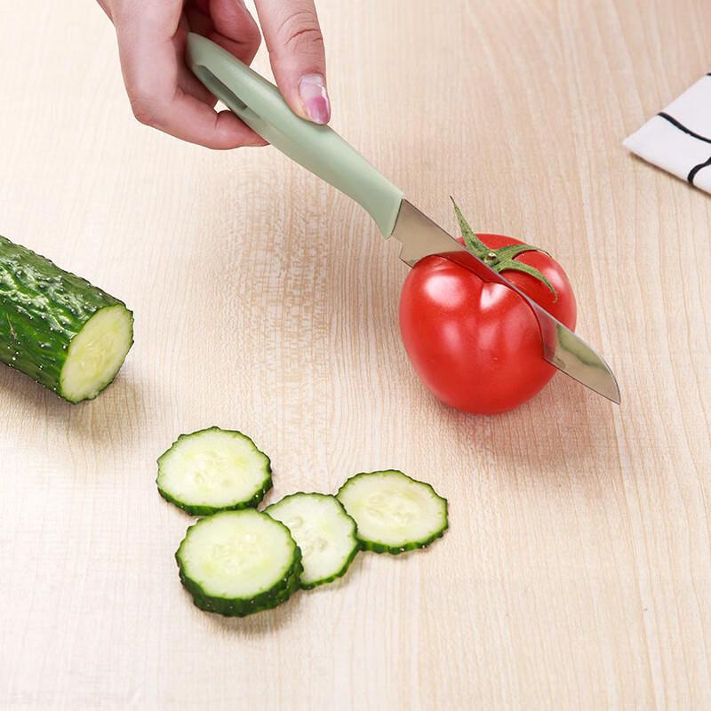 Xinkai Portable Stainless Steel Fruit Knife & Peeler