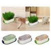Cat Grass Germination Starter Planter Accessory Hydroponic Plant Sprout Dish