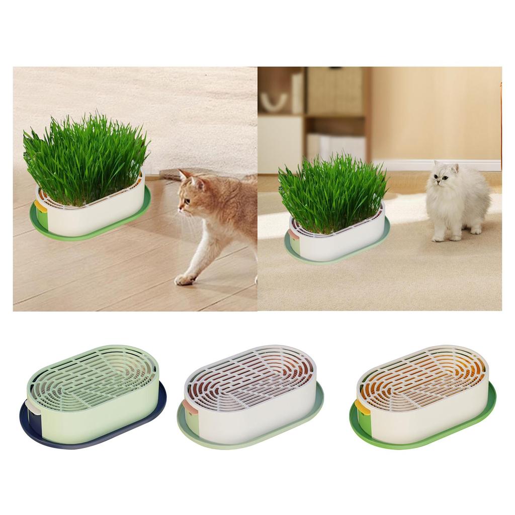 Cat Grass Germination Starter Planter Accessory Hydroponic Plant Sprout Dish