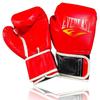 WEZHO Adult Boxing & Martial Arts Training Gloves