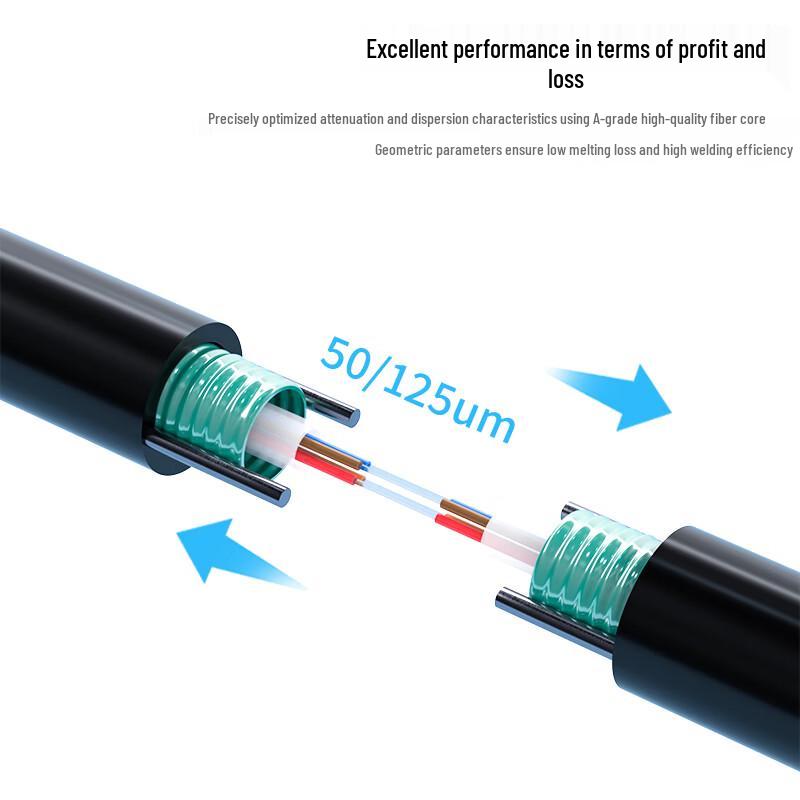Dasheng Outdoor Central Tube 4-Core Multimode Fiber Patch Cable