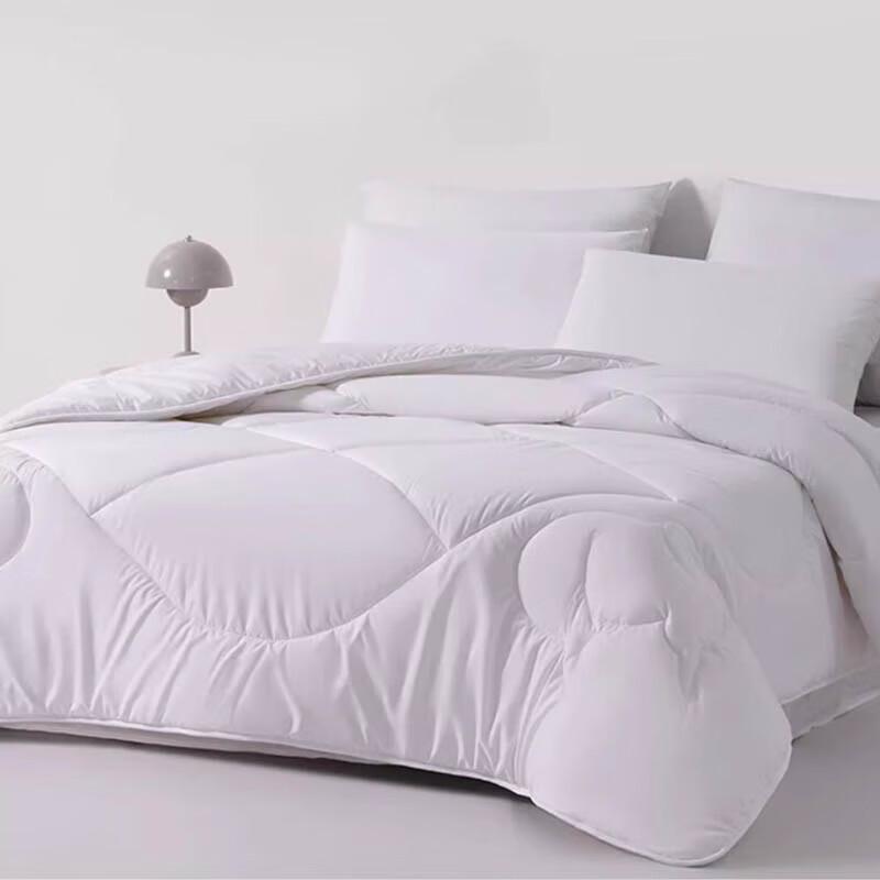 

Beyond Home Textile Winter Polyester Quilt