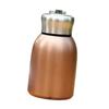 Insulated Coffee Mug Travel 300ml Camping Stainless Steel and Cold Drinks