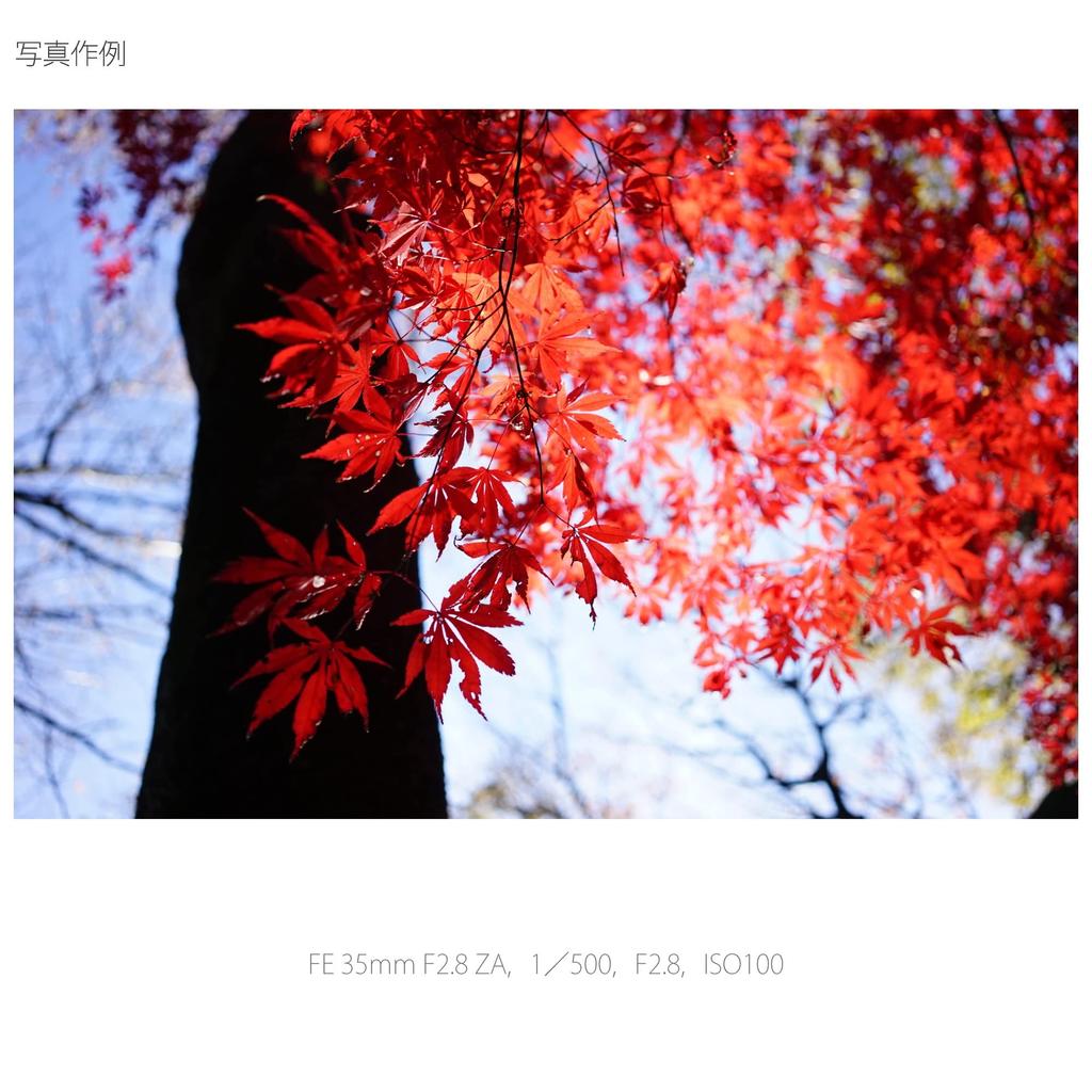 Sony Single Focus Wide Angle Lens Sonnar T* FE 35mm F2.8 ZA Full Size Compatible