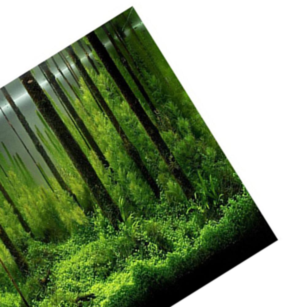 Forest Fish Tank Poster 61*30cm Underwater Forest Poster Beautiful Tank Backdrop  Aquarium