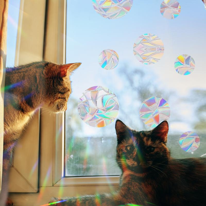 Rainbow Maker Sun Catcher Wall Stickers Cat Bird Star Mushroom Moon Sun Diy Window Glass Electrostatic Prisms Sticker