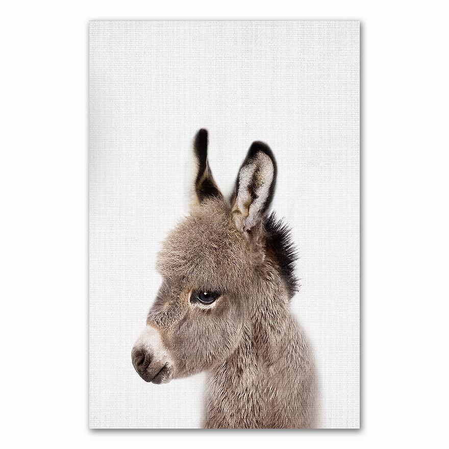Giraffe Bunny Elephant Canvas Child Poster Nursery Wall Art Picture Print Forest Animal Painting Nordic Kid Baby Bedroom Decor