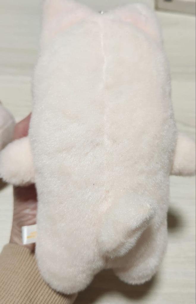 [USED] Straykids Skzoo Foxiny