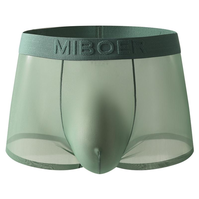 1 Stück Slips Dessous Nylon Einfarbig Unterwäsche Sexy Durchsichtig Boxer Briefs Transparentes Netzbeutel Herren