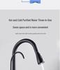 All-Copper Dual-Use Pull-Out Kitchen Faucet with Hot/Cold & Water Purifier