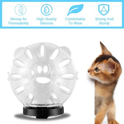 Kedi – Kedi bakım ürünleri