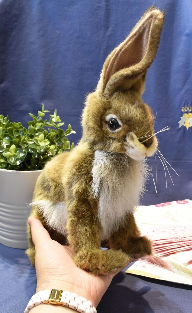 HANSA Jackrabbit Plush Toy, 22x13x30cm, Acrylic, No. 5911