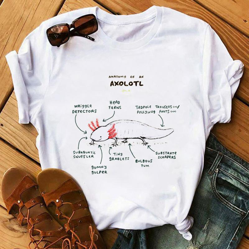 Harajuku Kawaii Tshirt Anatomia Da Raposa Gato Grfico Tees Das Mulheres Tops Esttica T Shirt Tripulao Pescoo Roupas De Vero Para As Mulheres