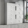 Steel 5-Section Double-Door Office File Cabinet with Lock