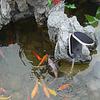 Solar Power Oxygen Pump Fish Tank Oxygenator Aquarium Oxygen Aerator Pond Aerator Air Pump Fishing
