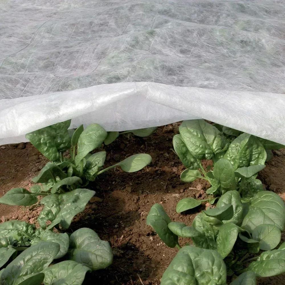 Plant Frost Barrier Non Woven Fabric With Tear Resistant Material And Built In Stabilisation For Winter Protection