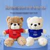 Custom Logo Teddy Bear Plush Toy for Back-to-School Events
