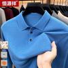 Men's Thin Wool Blend Pullover Polo Shirt