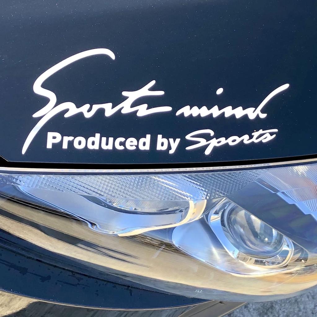 Sports Mind Car Motorcycle Sticker Decal Sticker Universal Side Dress Up Sports Mind 8 Colors 4 Sizes Letters White LL Size 35 x (All Silver, 11cm)