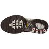 Nike Air Max Plus Marrone Visone Scarpe da Ginnastica da Donna Marrone Barocco Vela Argento Metallizzato DZ3671-200