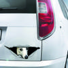 DS81#30x11.5cm  Creative Car Sticker White 3d Pet Dog Accessories Vinyl Car Styling Cover Scratches
