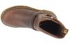 Dr. Martens Anistone Harness, Womens Brown Winter Boots