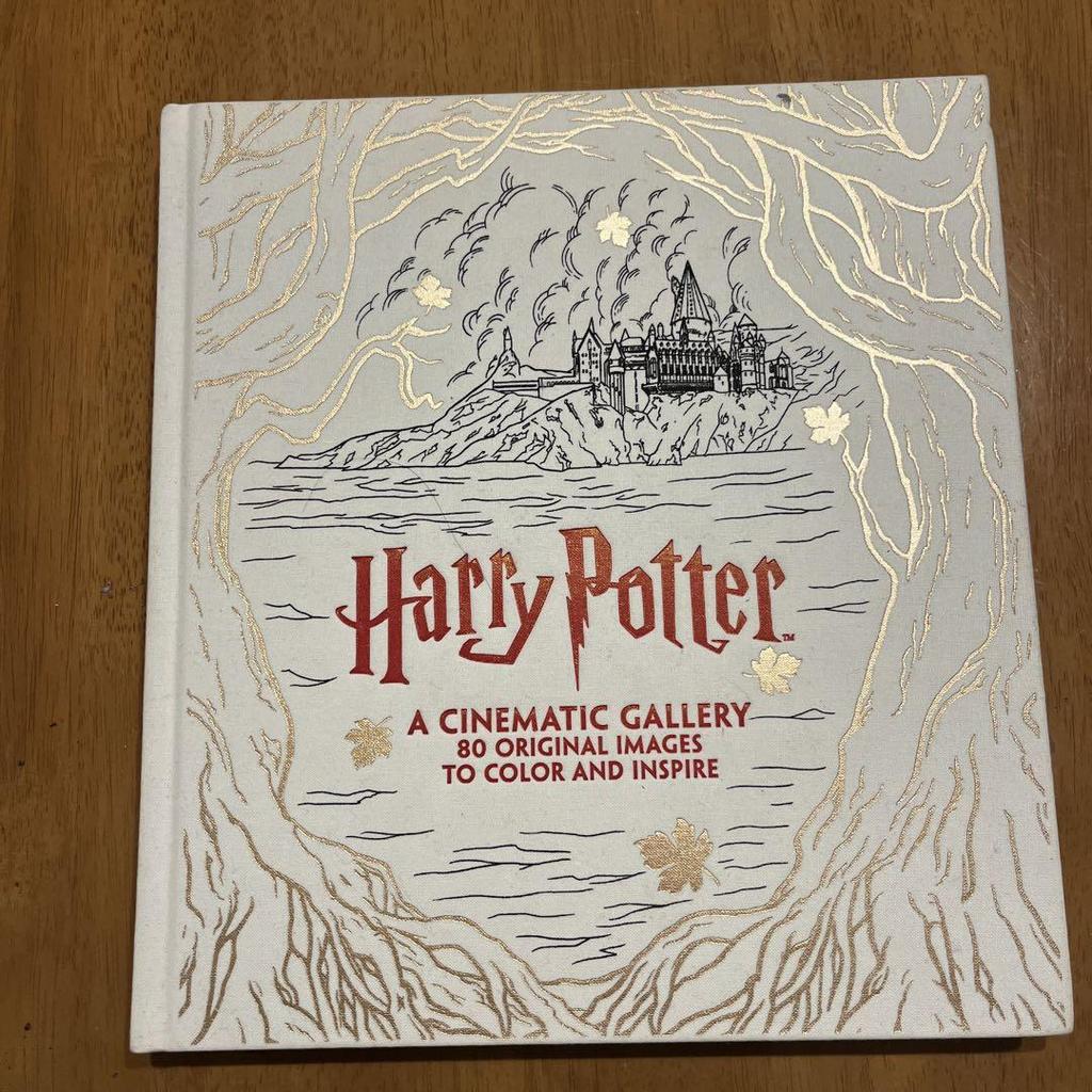 [USED] Harry Potter: A Cinematic